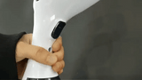 Handheld Garment Steamer